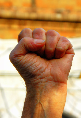 2168204193_53a7819140