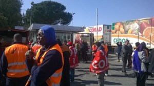 2015_03_15_cedof_roma-500x280